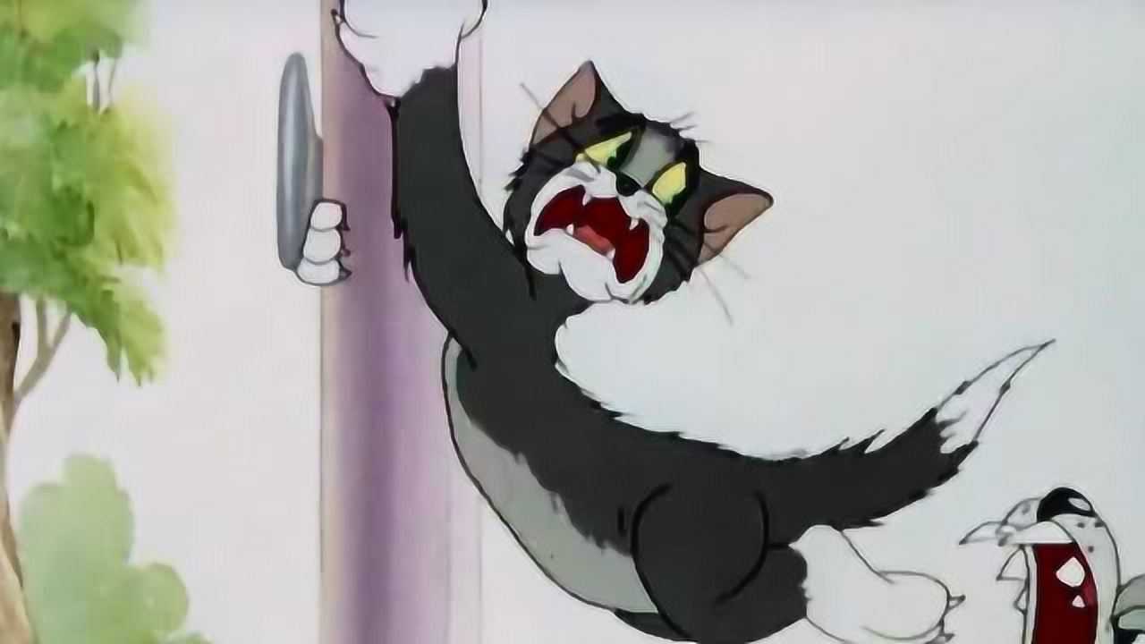 猫和老鼠猫咪被一群狗追急的爬上桅杆上顶端死死抱住