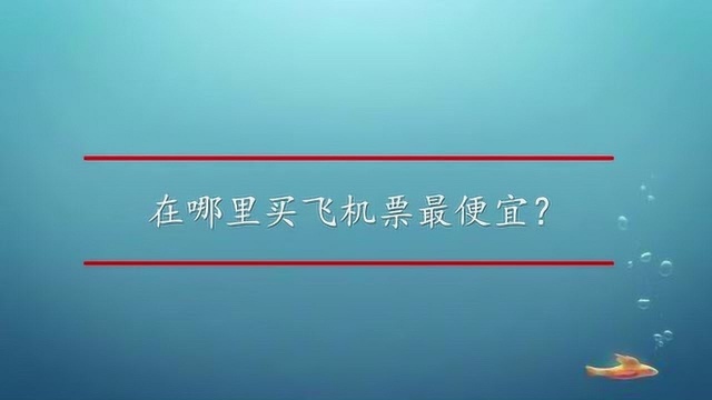 在哪里买飞机票最便宜?