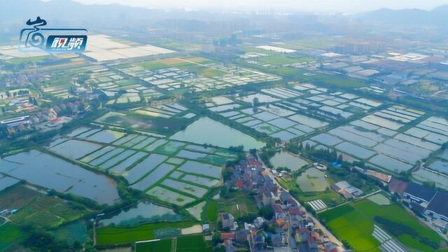 杭州富阳阳陂湖生态修复治理项目开工