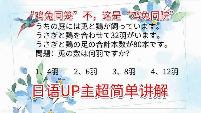 超简单教学“鸡兔同笼”问题,学日语才是关键,做题只是放松