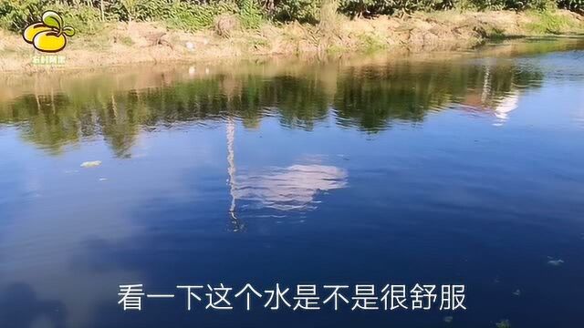 这地方门前就是河道,出门便能钓鱼,风景美鱼也多,你羡慕吗?