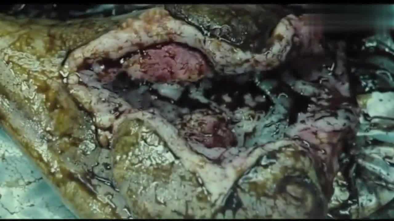 人兽杂交精选片段_高清