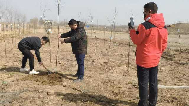 植树节市民在家躺着“云植树”,4天500棵树被认领