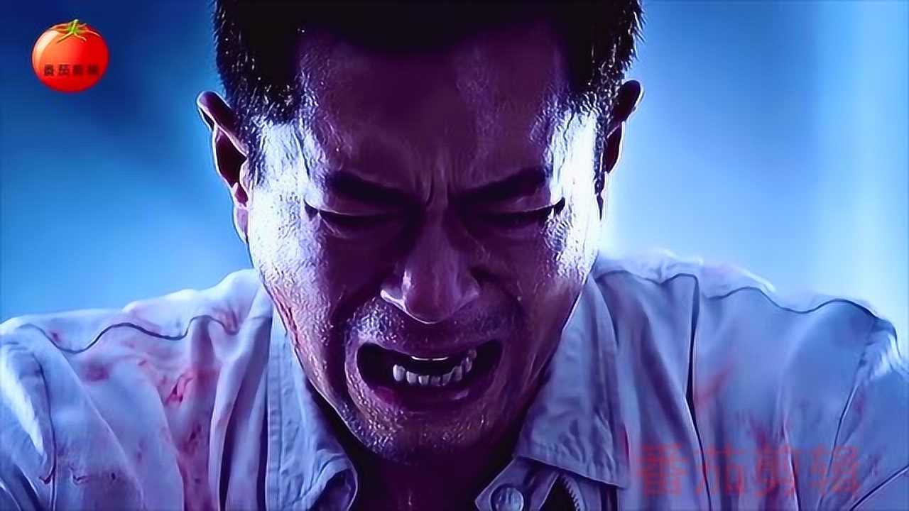 杀破狼贪狼男主看到女儿尸体撕心裂肺的叫喊人让人心疼不已