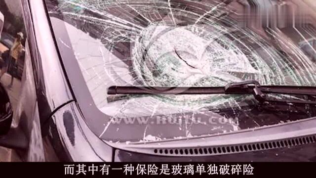 挡风玻璃被砸,保险公司不赔偿?交警:你就不该说那个字!