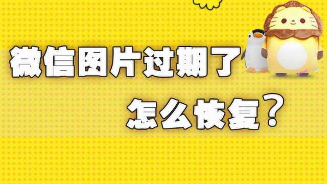 微信图片过期了不用急?打开这里,1年前的都能找到,操作很简单