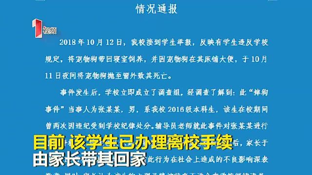 大连高校男生从7楼摔死狗,校方同意家长退学申请