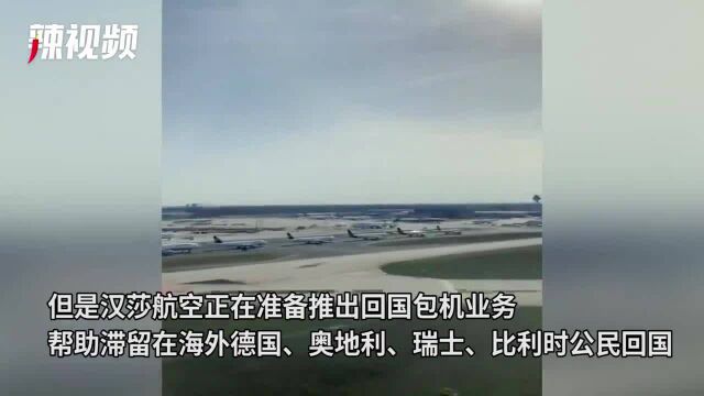 网友航拍法兰克福机场 汉莎客机遍地停 计划包机业务帮助公民回国