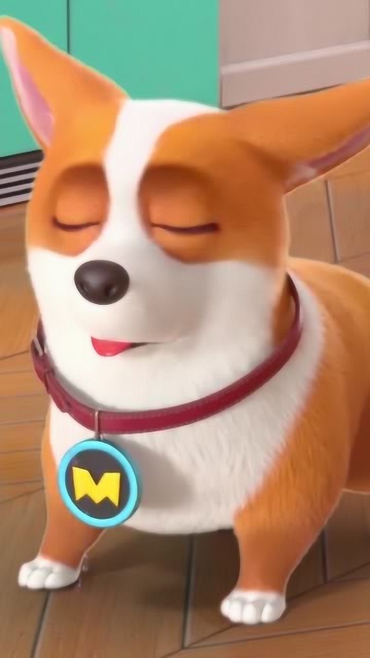 飞狗moco作为狗子我不想帮倒忙