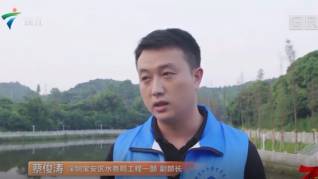 深圳宝安坚决打赢水污染治理攻坚战