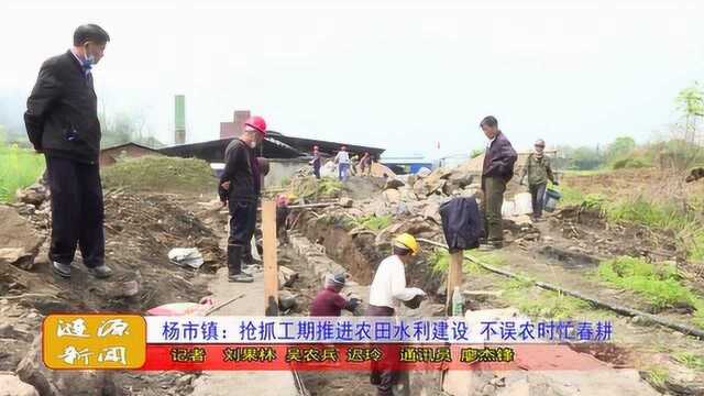 杨市镇:抢抓工期推进农田水利建设 不误农时忙春耕