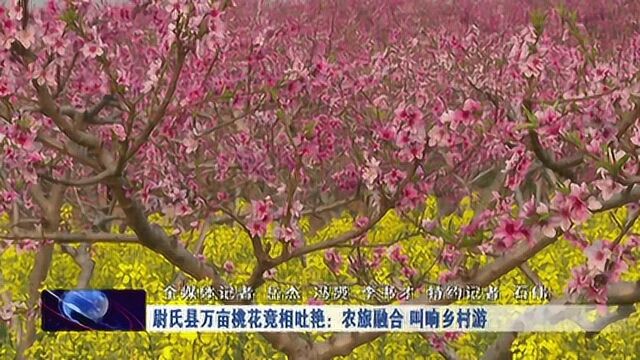 尉氏县万亩桃花竞相吐艳:农旅融合 叫响乡村游