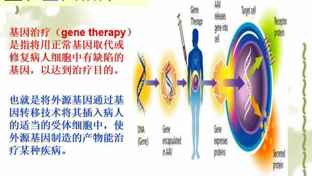 4.1高一生物 人类遗传病