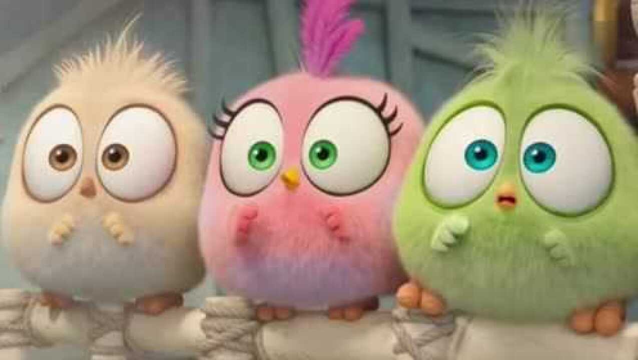 治愈系小动漫,三只小鸟的奇特旅途,太呆萌了