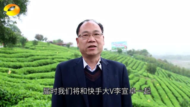 “县长向前冲,茶区来直供”广东英德副市长为英德红茶直播助力!