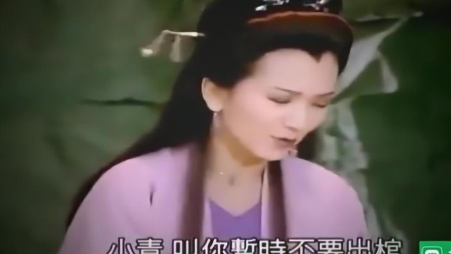 小鬼摘的野果子竟是千年朱果,白素贞为青蛇变成人形!