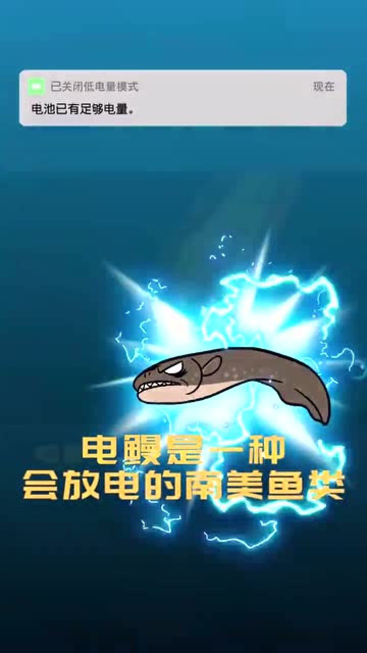 电鳗是一种会放电的南美鱼类