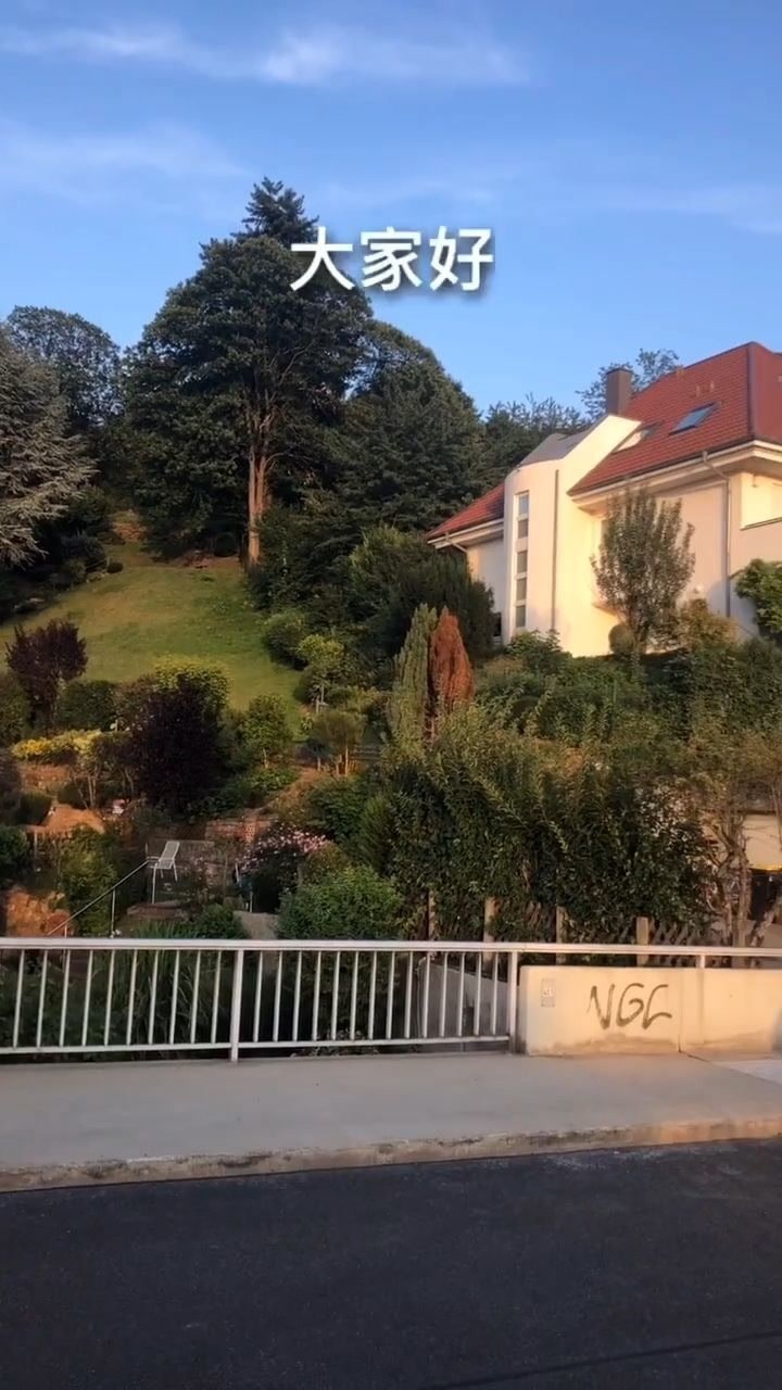 看一下德国的富人区