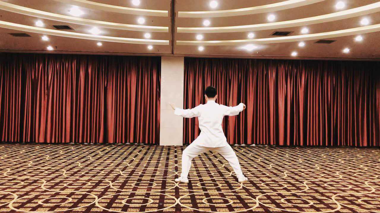 陈氏太极拳老架一路背面演示护心锤玉女穿梭