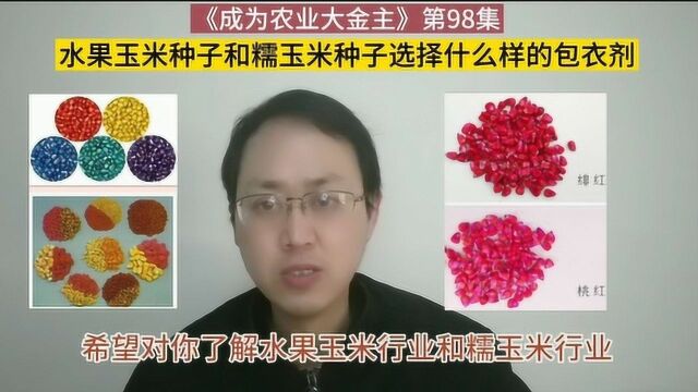 第98集 水果玉米种子和糯玉米种子用什么样的包衣剂?