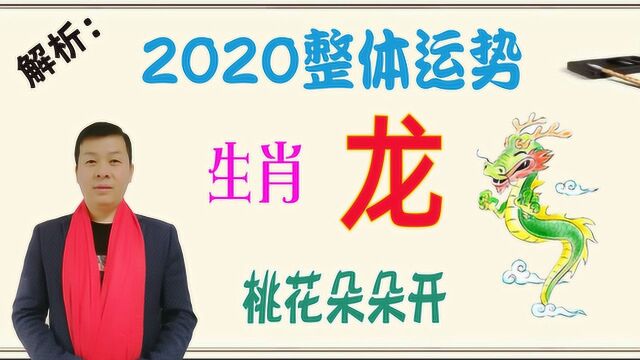 回答网友私信,生肖属龙人2020年整体运势及运程,感情运势旺盛