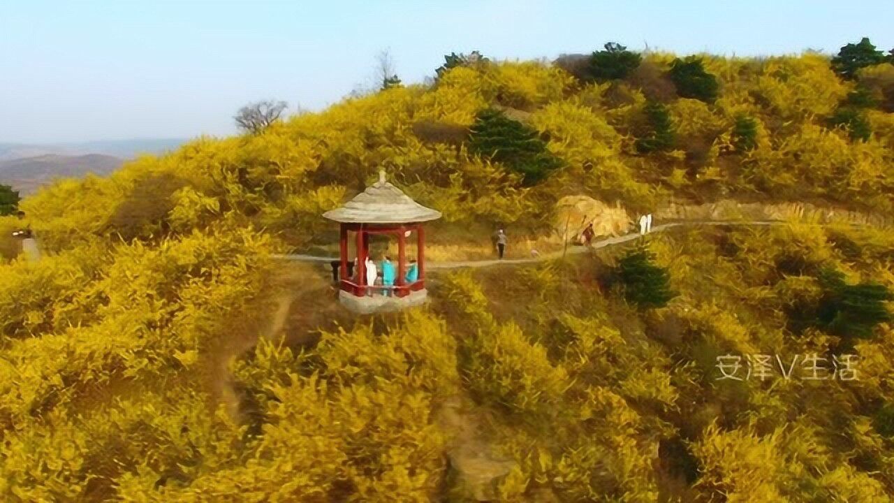 安泽黄花岭风景区图片