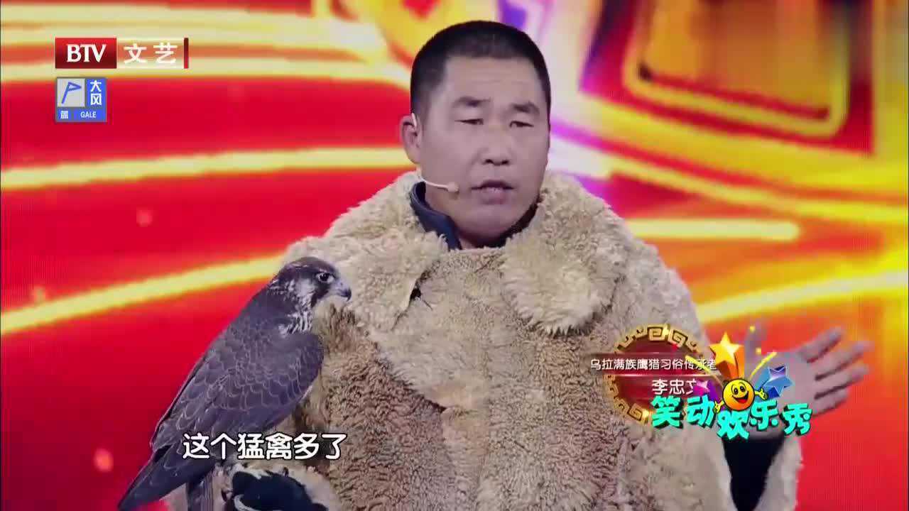 鹰隼区别在哪?国家级迅鹰人揭开真相,引得全场震撼_高清1080P在线观看平台_腾讯视频