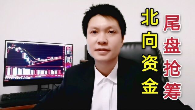 北向资金尾盘疯狂抢筹!这些概念板块迎来投资机会