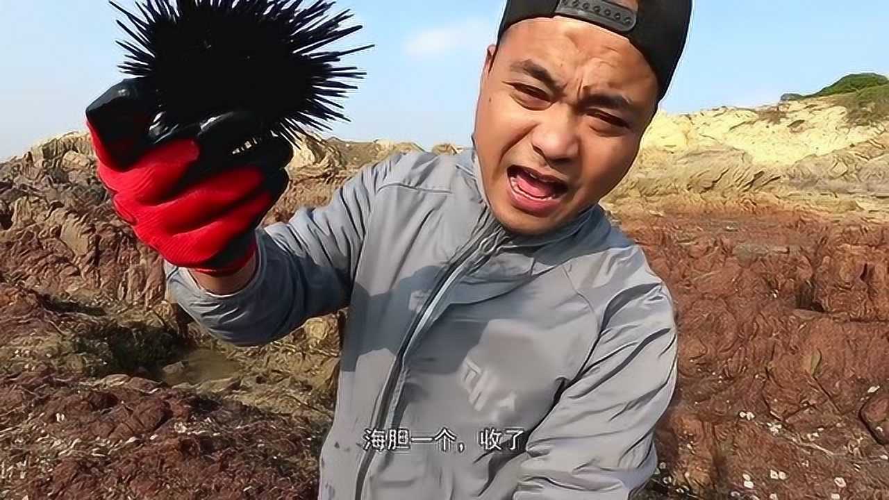 大熊赶海抽水坑冷空气冷得发抖,海边抽水坑不抽干净是有原因的