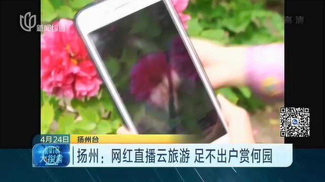 扬州:网红直播云旅游 足不出户赏何园