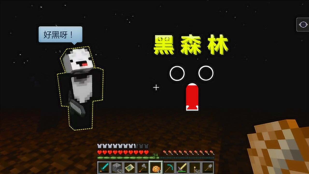我的世界联机生存36:黑森林太黑了,插火把也看不清,小心幽灵狼_高清10