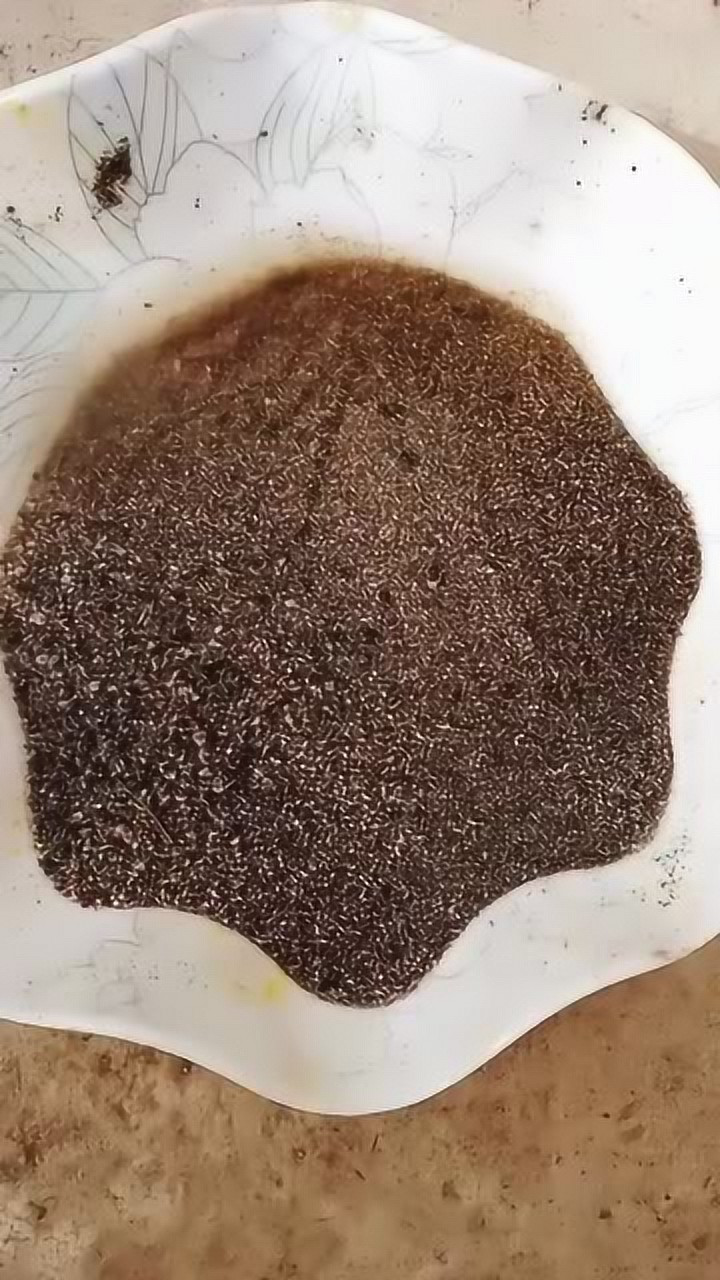 在河里挖出来的沙子,都说上面是金子,真的假的?