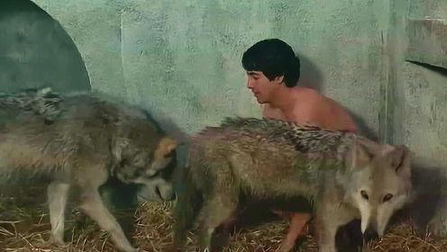 小伙被一只野兽咬伤，每到月圆之夜，他就会变成狼人疯狂袭击人类