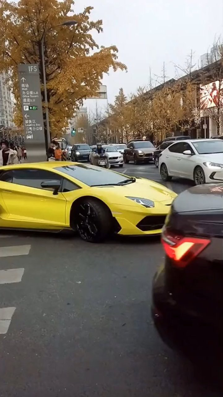 黄牛出来炸街了