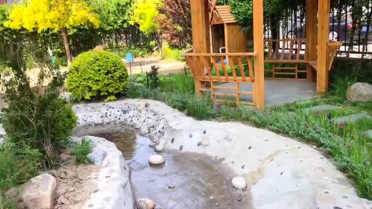 幼儿园小池塘