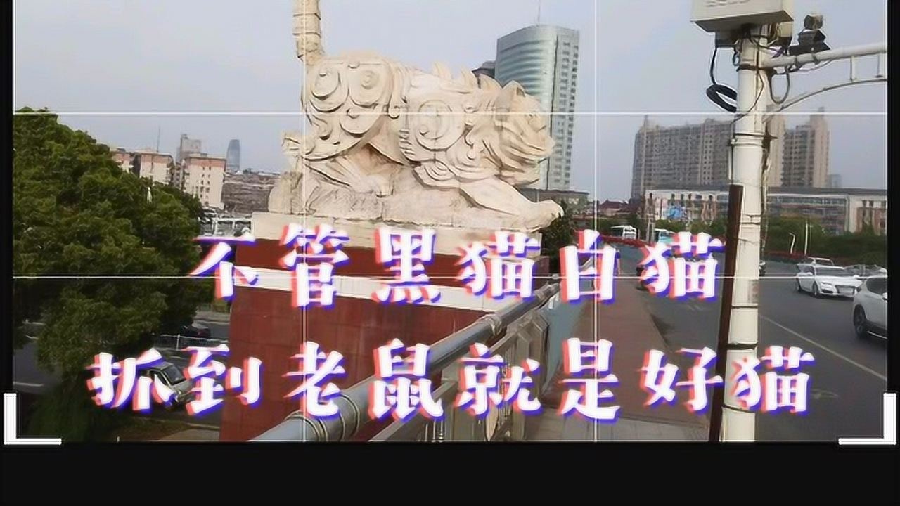 南昌八一桥头黑猫白猫抓到老鼠就是好猫_腾讯视频
