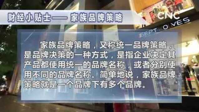 财经小贴士——家族品牌策略