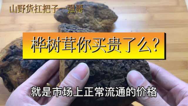 桦树茸规格繁多,价格混乱,看了这个视频评论下你买贵了么?