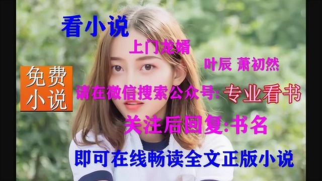 上门龙婿叶辰完结篇全本免费看