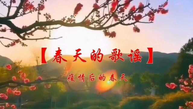 歌曲~春天的歌谣