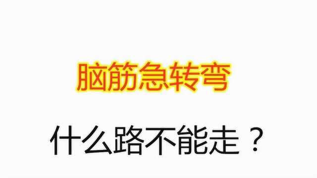 脑筋急转弯:什么路不能走?高手一眼看出答案