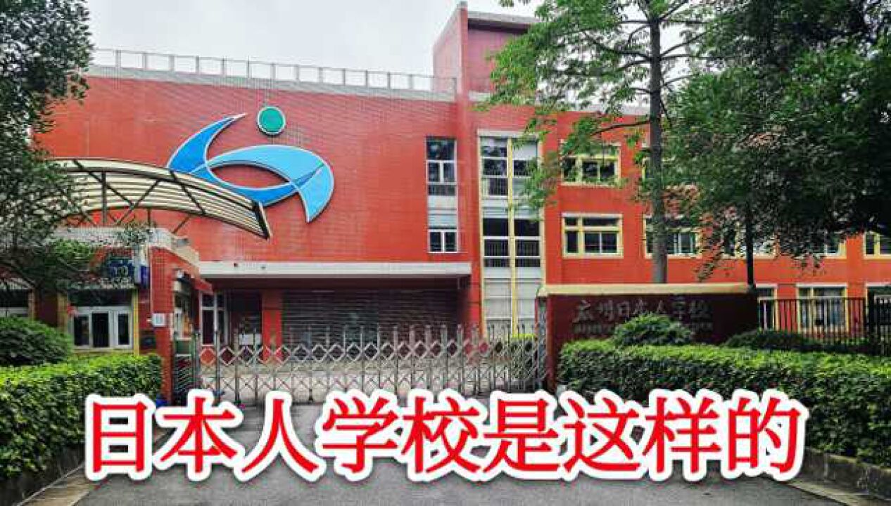 实拍广州日本人学校,周围绿树成荫环境优雅,据说每年的学费超贵