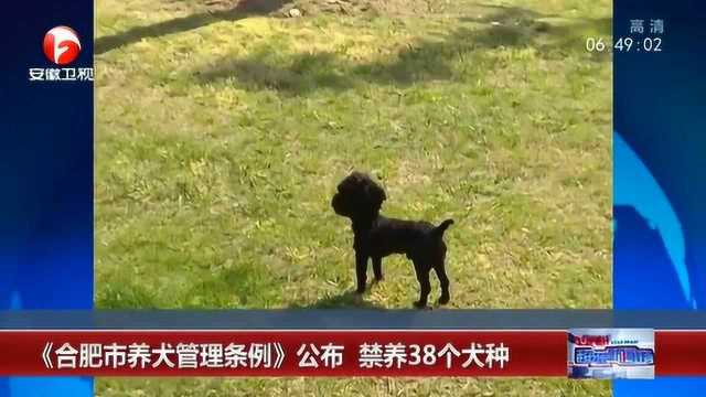 《合肥市养犬管理条例》公布 禁养38个犬种