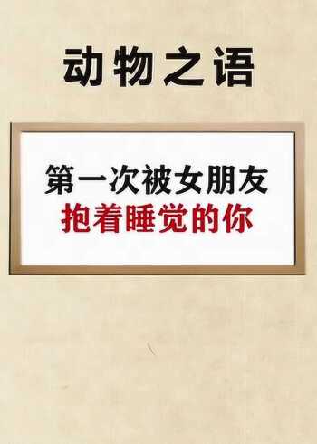 像不像第一次被女朋友抱在懷裡睡覺的你?