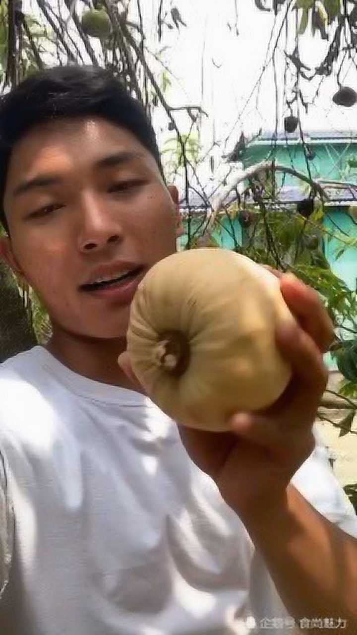 云南特产牛心果你们吃过吗