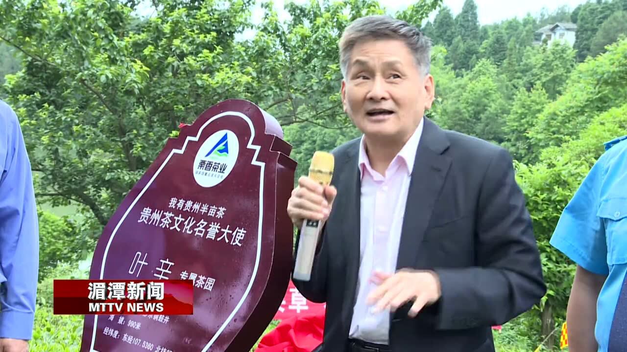 著名作家叶辛在湄潭认领"我有贵州半亩茶"