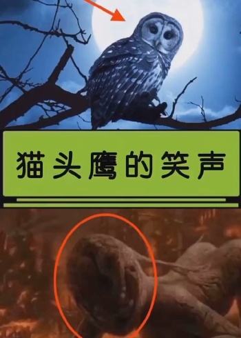猫头鹰的笑声你听过吗