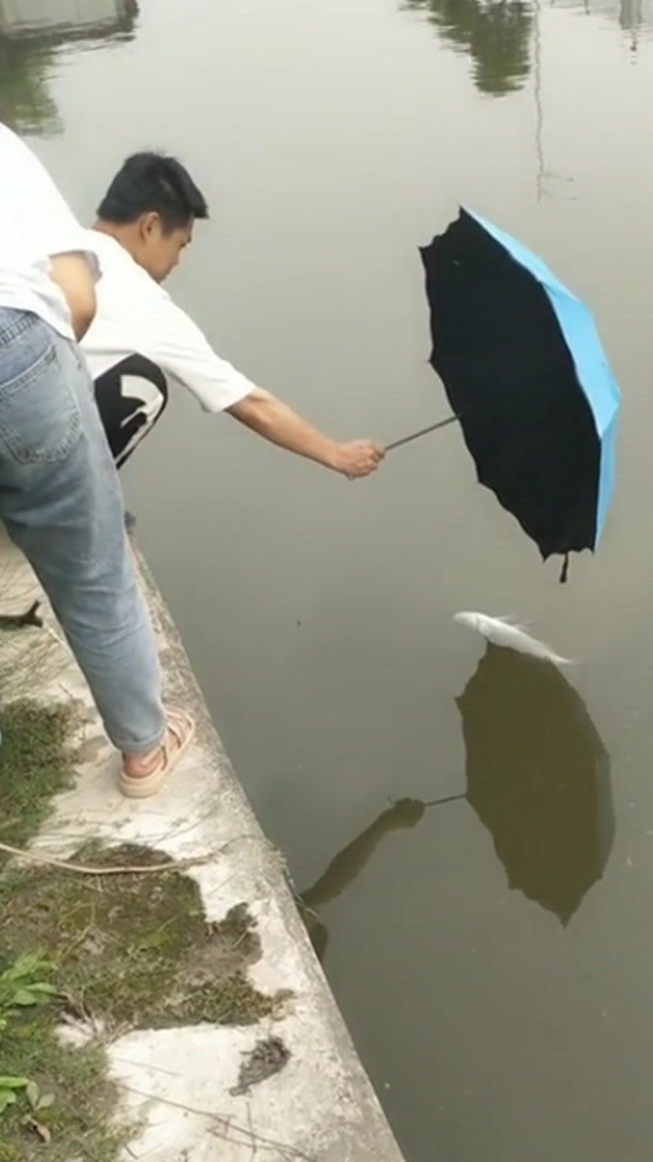 用手抓鱼时鱼翻身逃跑男子用伞去抓结局很意外