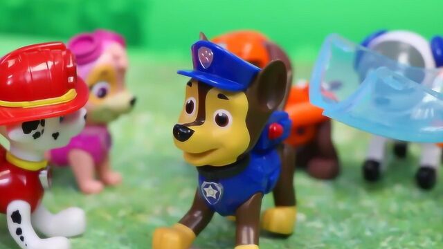 汪汪队换好战斗服准备去救援队友小砾