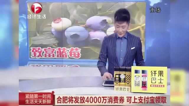 好消息!合肥将发放4000万消费券 可上支付宝领取